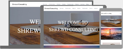 Shrewd Consulting